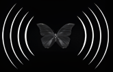 Bioacoustics Sound Effects