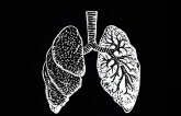 Somatic Breathwork
